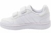 Adidas Hoops 2 CMF C 