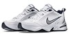 Men's Nike Air Monarch IV Training Shoe 