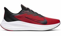 Nike Air Zoom Winflo 6 