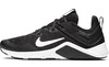 Nike Legend 