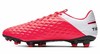 Nike Legend 8 Academy FG 