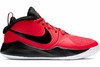 Nike Team Hustle D 9 GS  