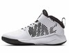 Nike Team Hustle D 9 GS  