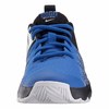 Boys' Nike Team Hustle Quick (GS) Basketball Shoe