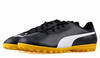 Puma Rapido TT  