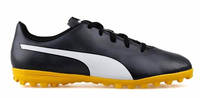 Puma Rapido TT  